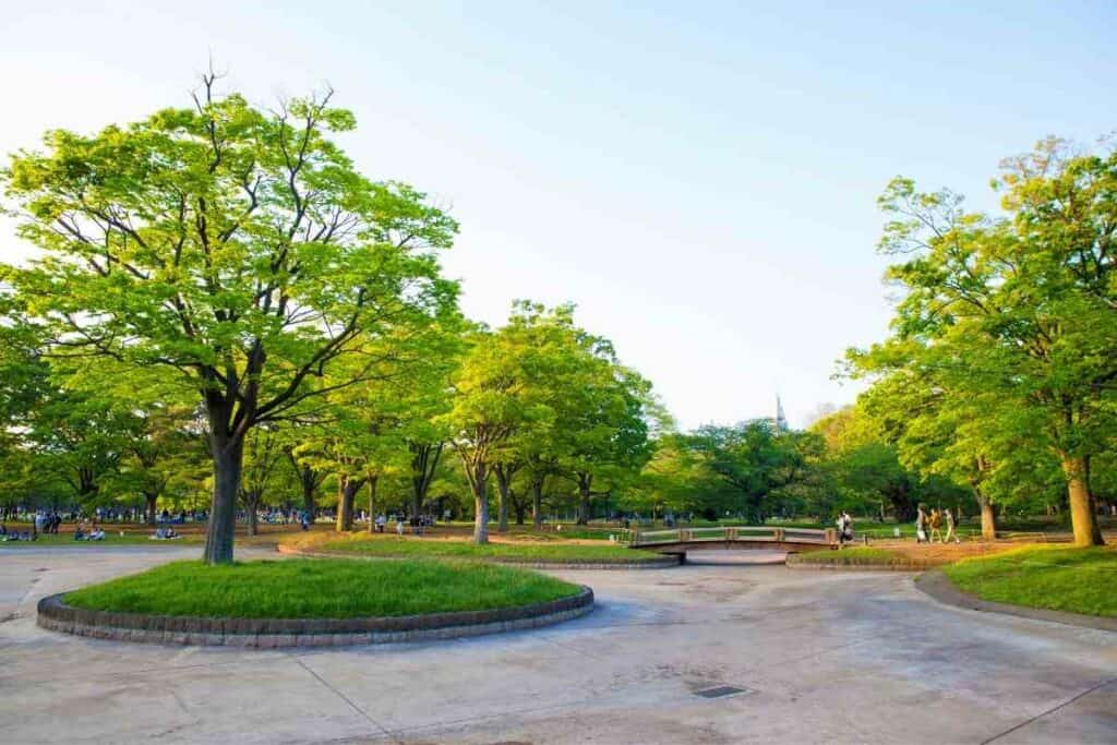 Yoyogi Park (Great Place to Picnic)