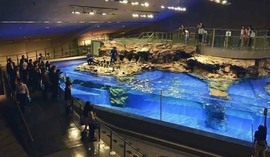 sumida aquarium