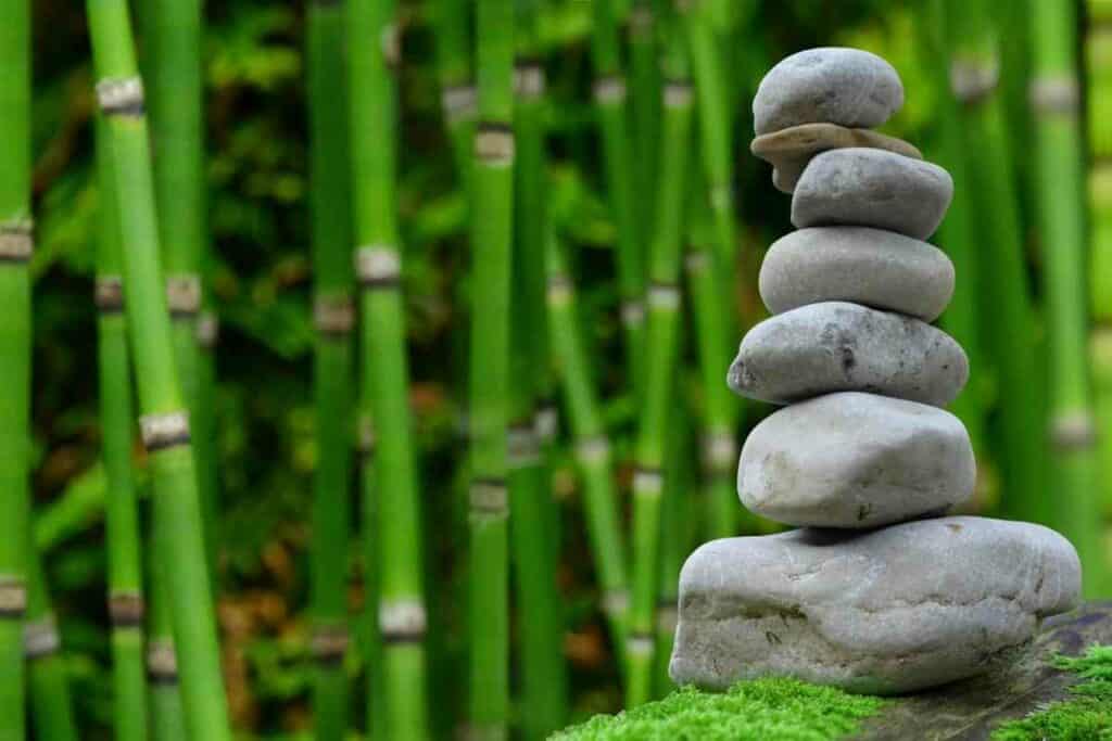 Zen garden Allusion rocks