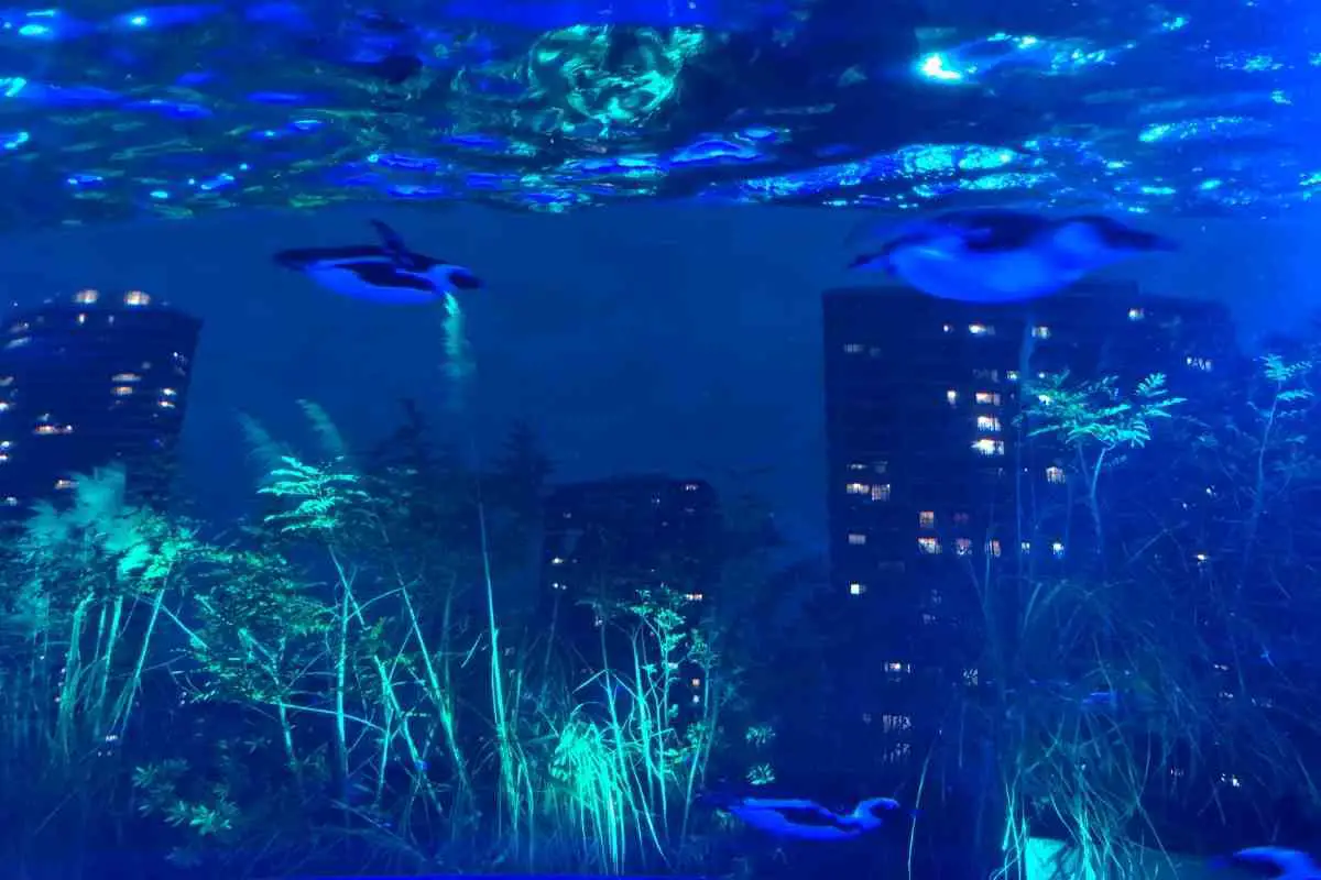 7 Best Aquariums In Japan To Visit