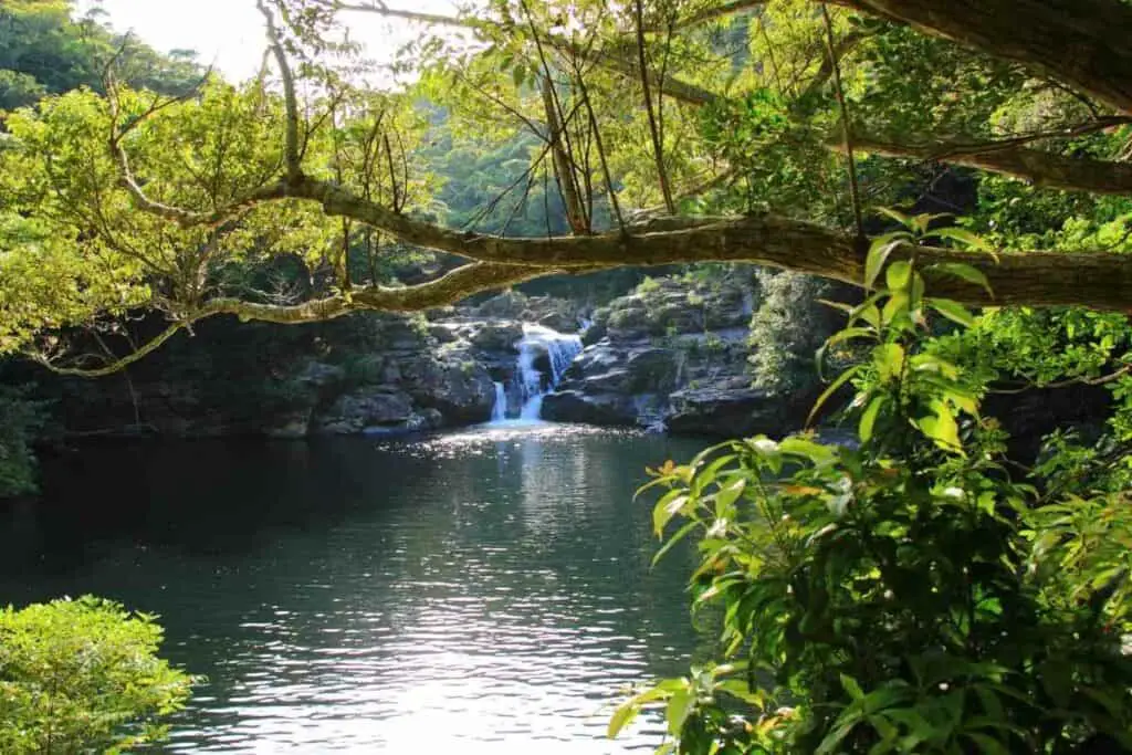 Best Waterfalls in Okinawa