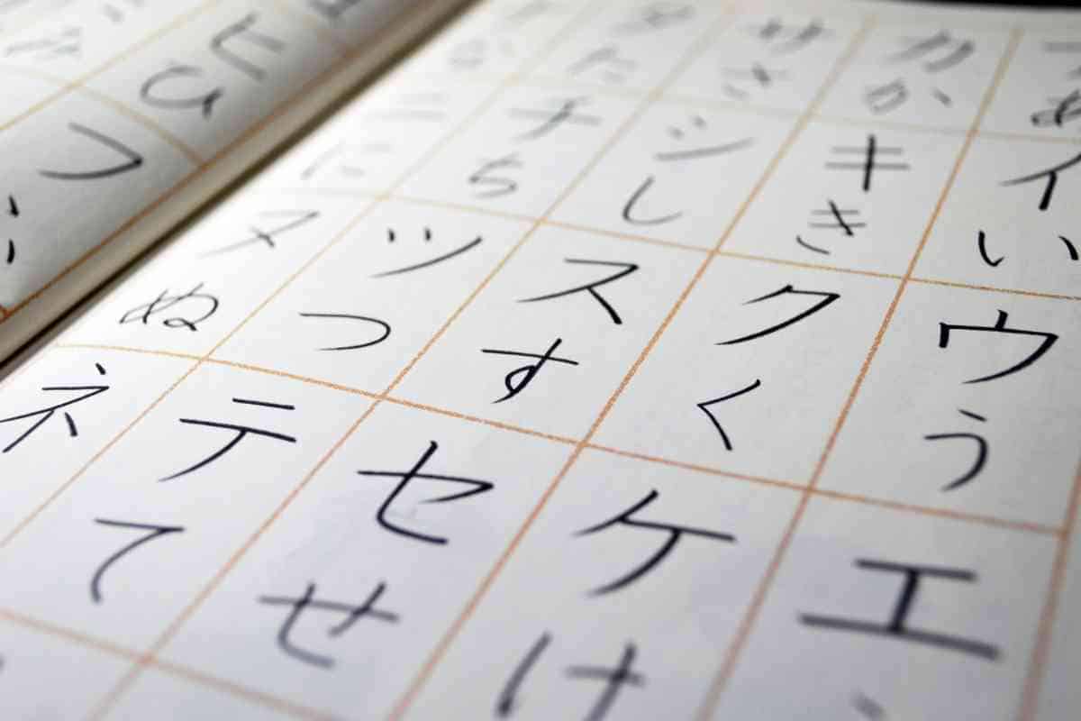 can you learn japanese in one year