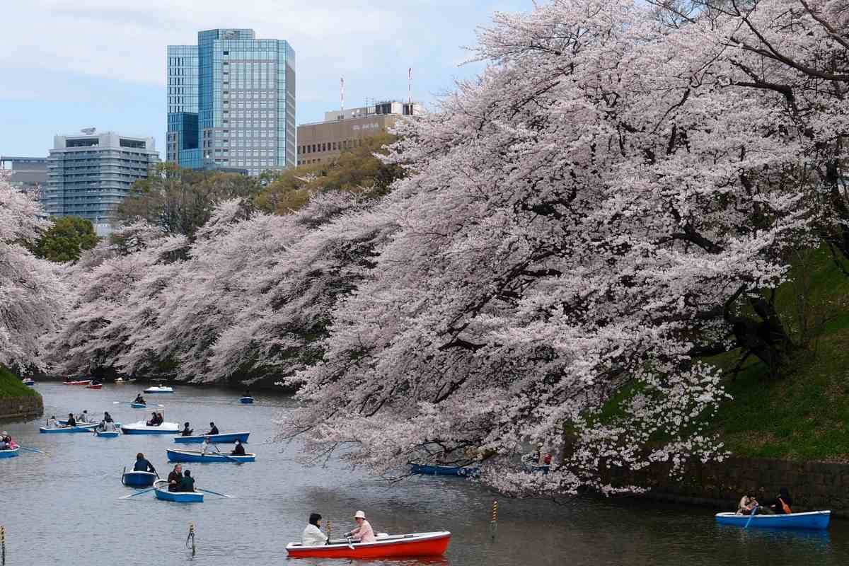 best cities to visit in japan in spring