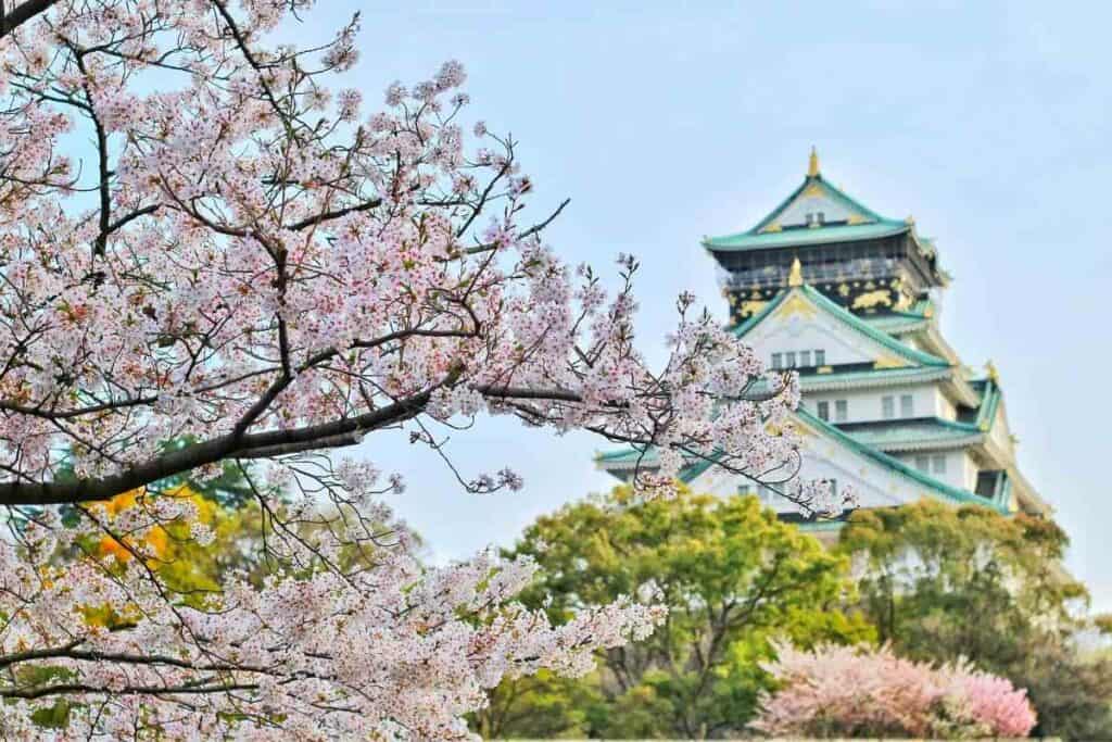 Cherry blossoms Japan by month