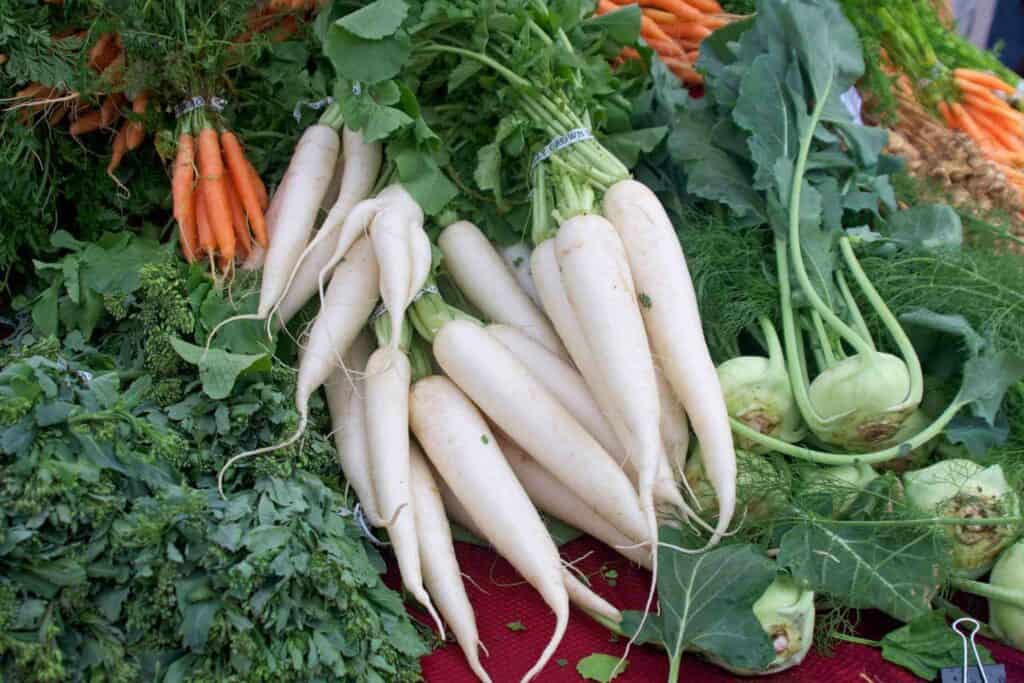 Daikon vegetable