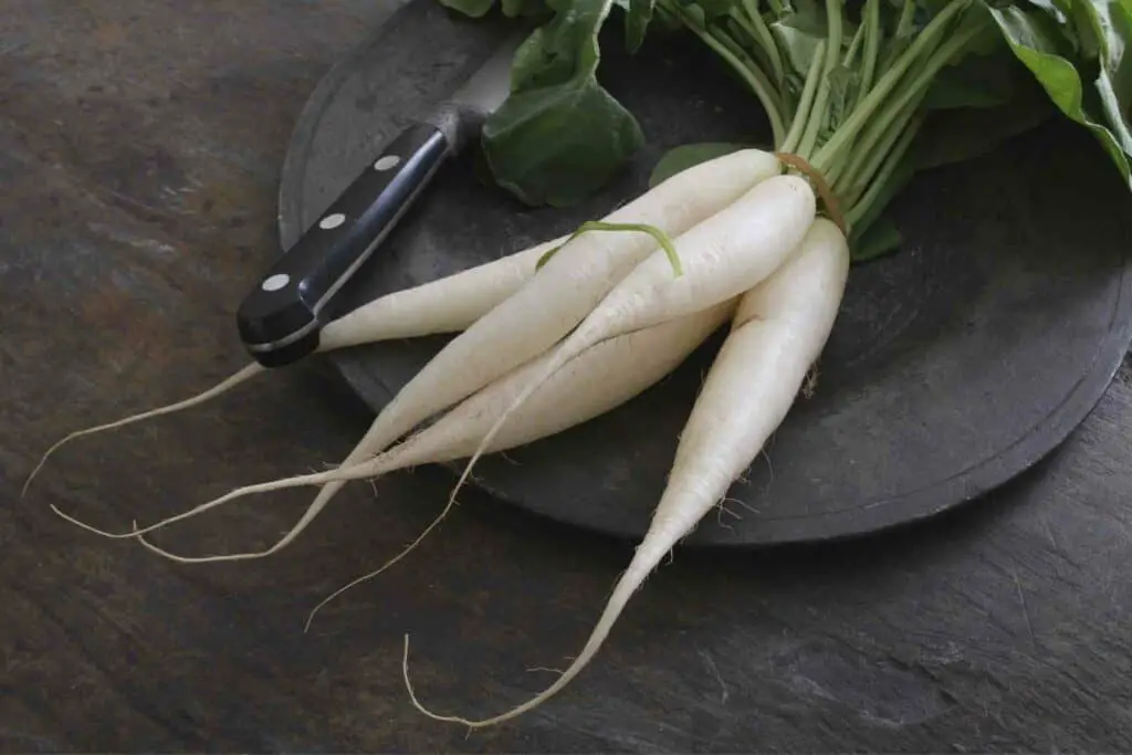 Can Daikon Be Refrigerated or not