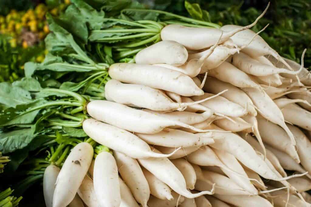 Freezing Daikon advice