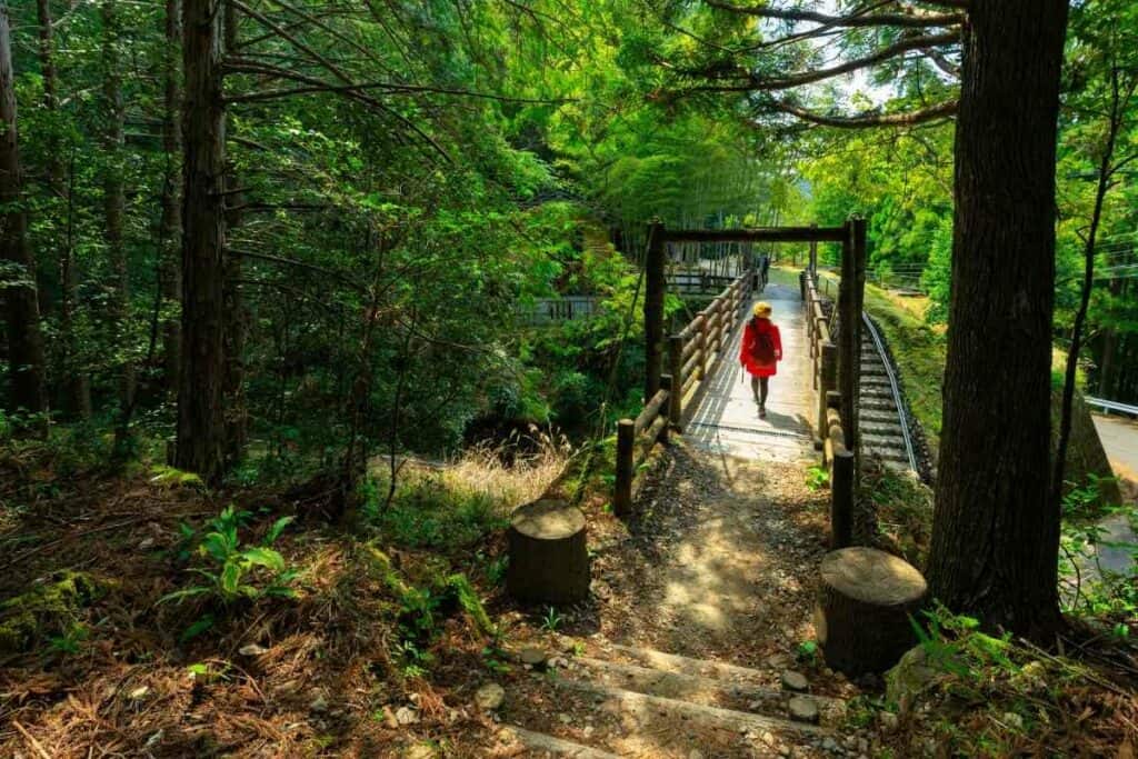 Hiking in Kansai