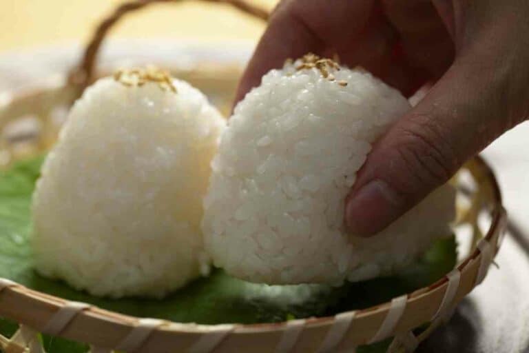 Can You Freeze Onigiri? And Is It Really Healthy? – YouGoJapan