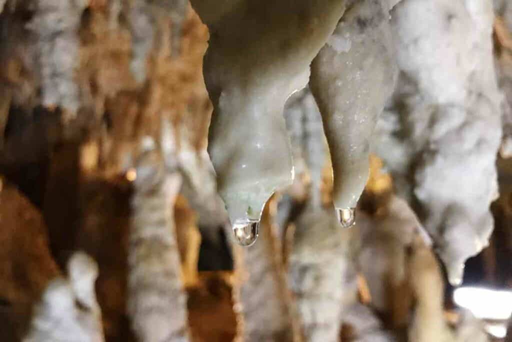 Ishigaki Island Limestone cave okinawa