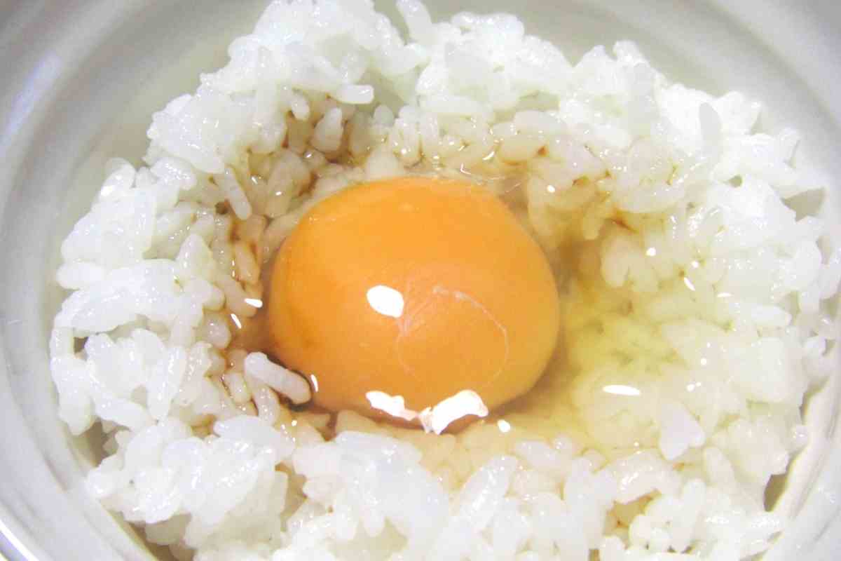 Why Are Japanese Eggs Safe To Eat Raw? YouGoJapan