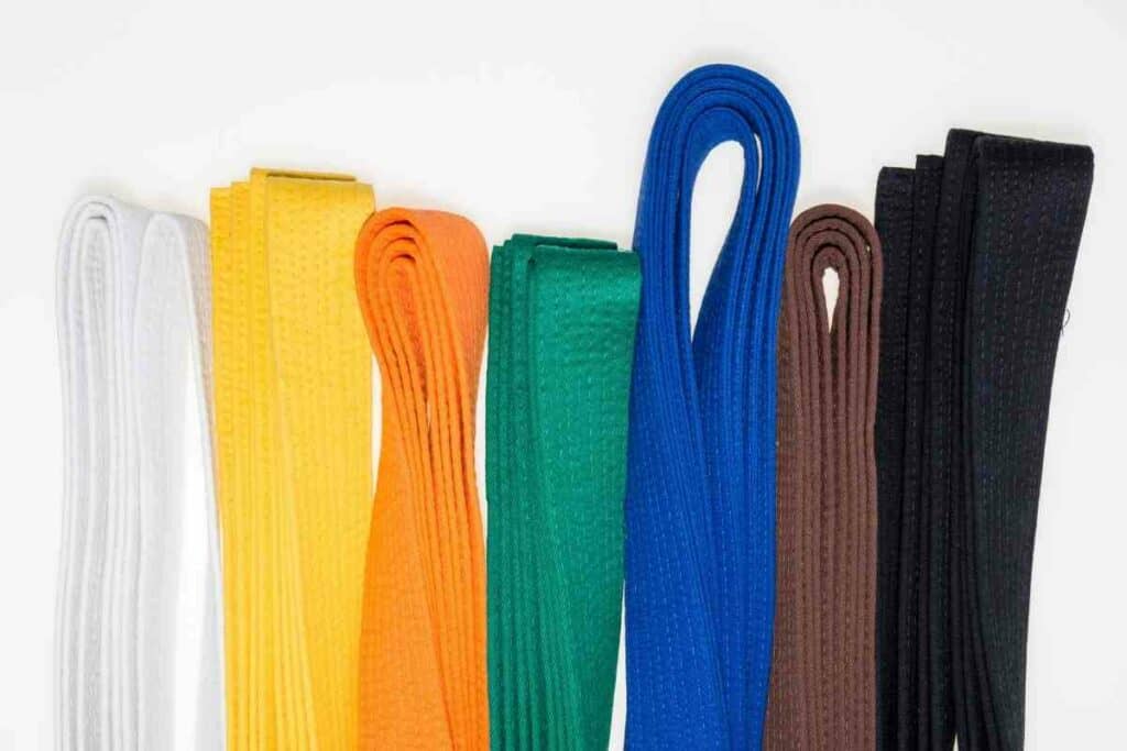 Judo Belts Requirements Explained - YouGoJapan