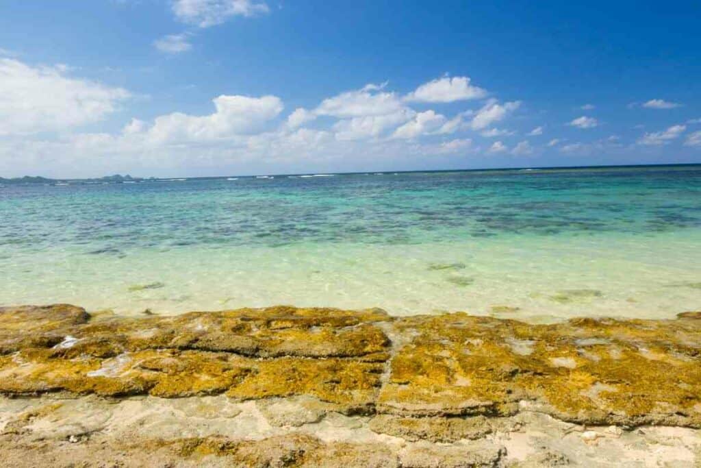 Snorkeling in Yonehara beach