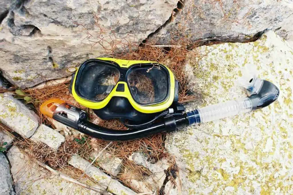 A well-fitting snorkeling mask