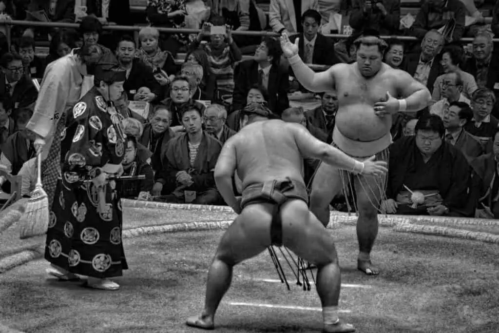 Sumo wrestlers fight