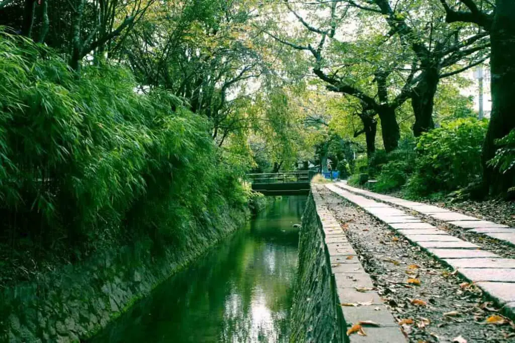 The Philosopher's Path in Japan