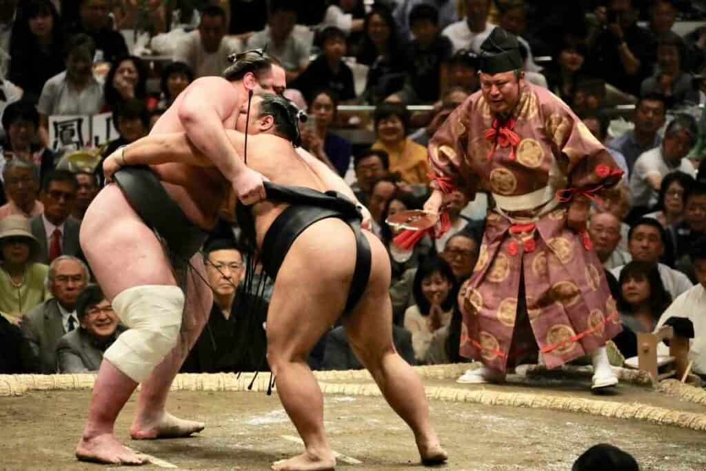 Types of Mawashi Sumo