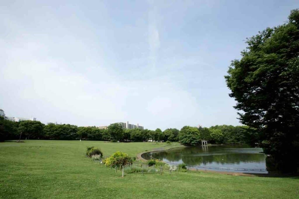 Chuo park Nagasaki lawn
