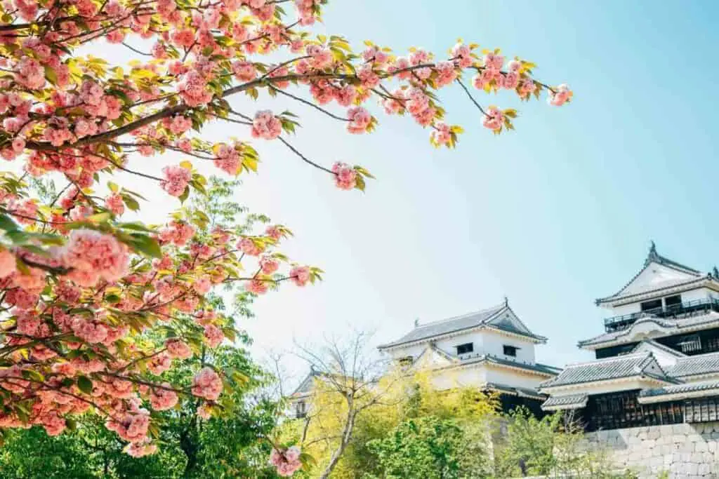 Best places to visit in Japan in spring Matsuyama city