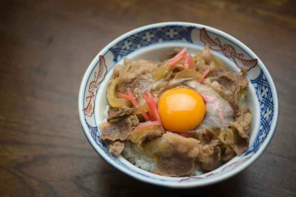 Gyudon food