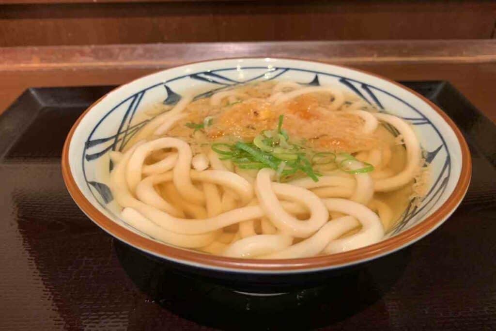 Kake udon noodles