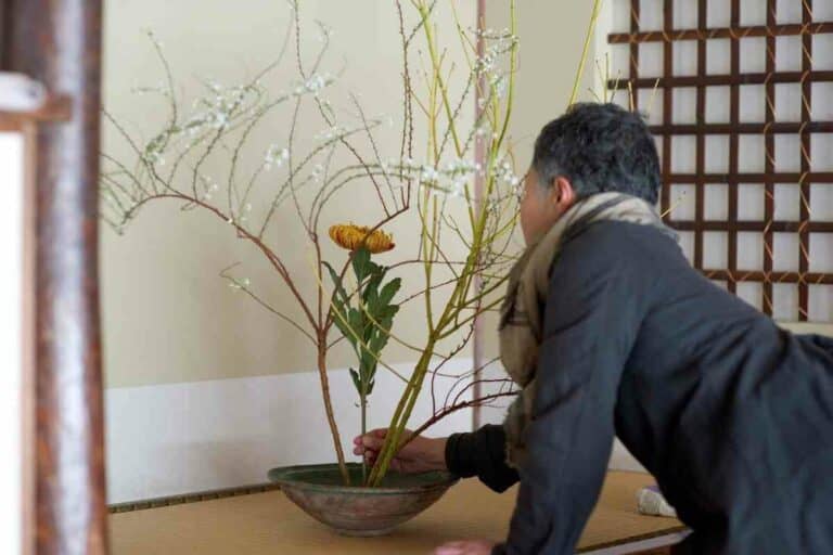 7 Types of Ikebana Vases You Should Know YouGoJapan