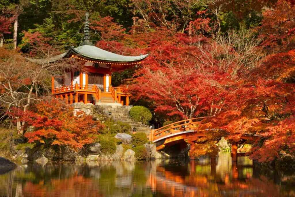 Daigo-Ji temple in Kyoto visiting