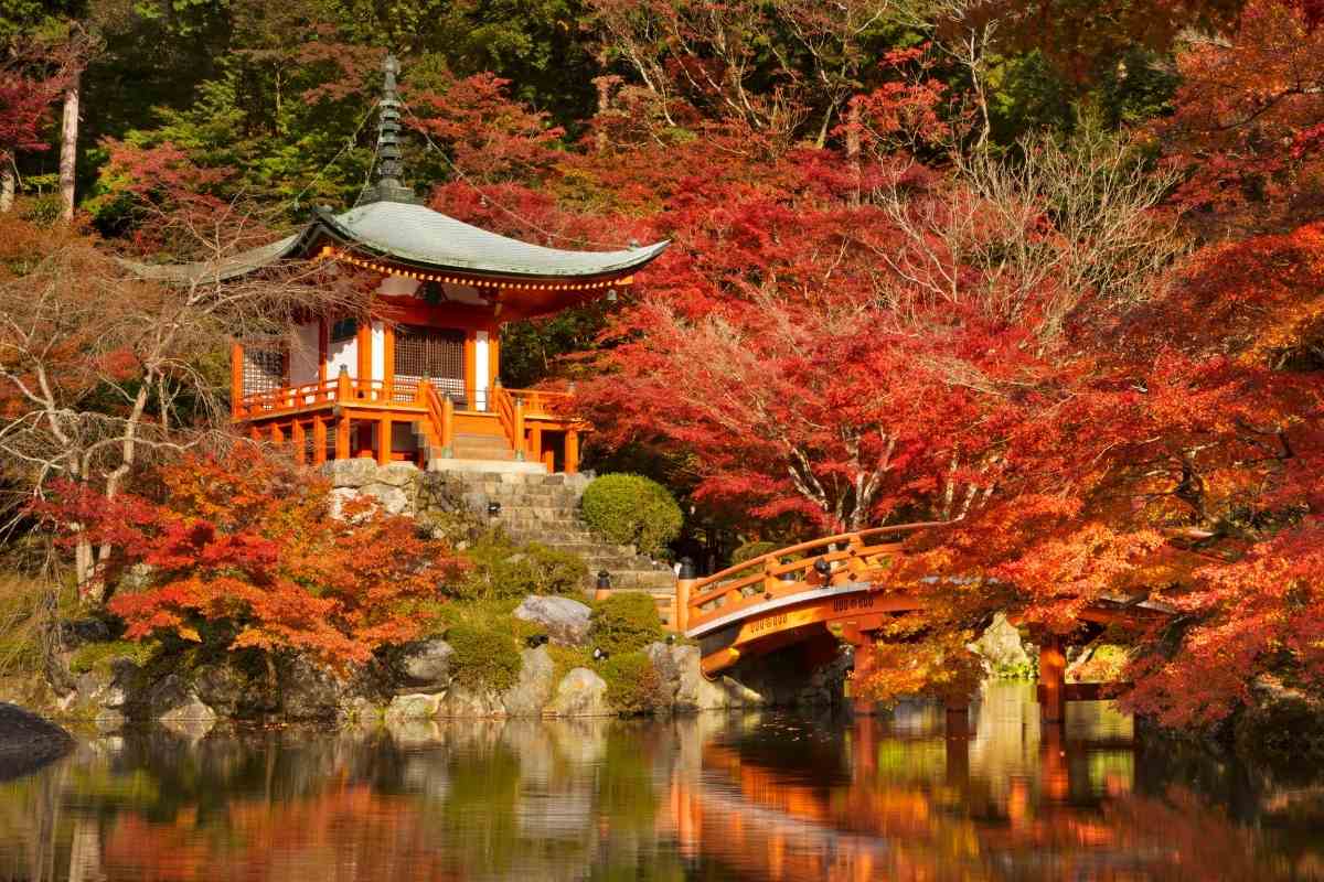 9 Awesome Things To Do In Japan This December – Yougojapan