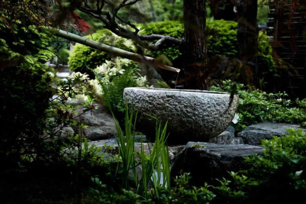 Japanese concrete water bowl in garden