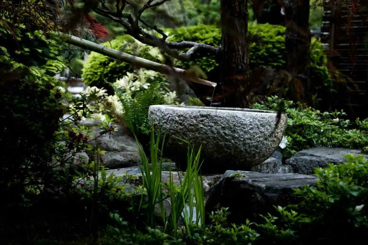 9 Amazing Japanese Water Bowl Garden Ideas 