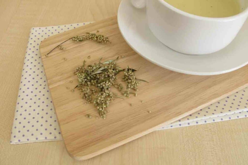 How to make mugwort tea