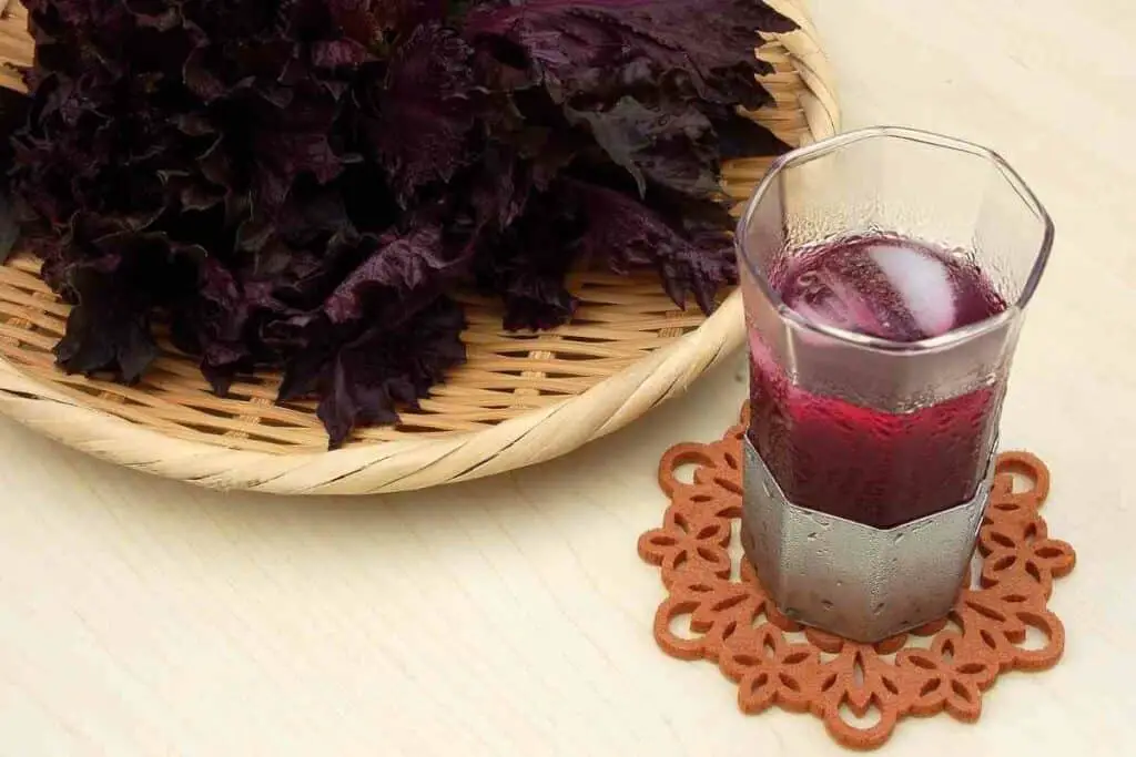 How to make red shiso juice guide