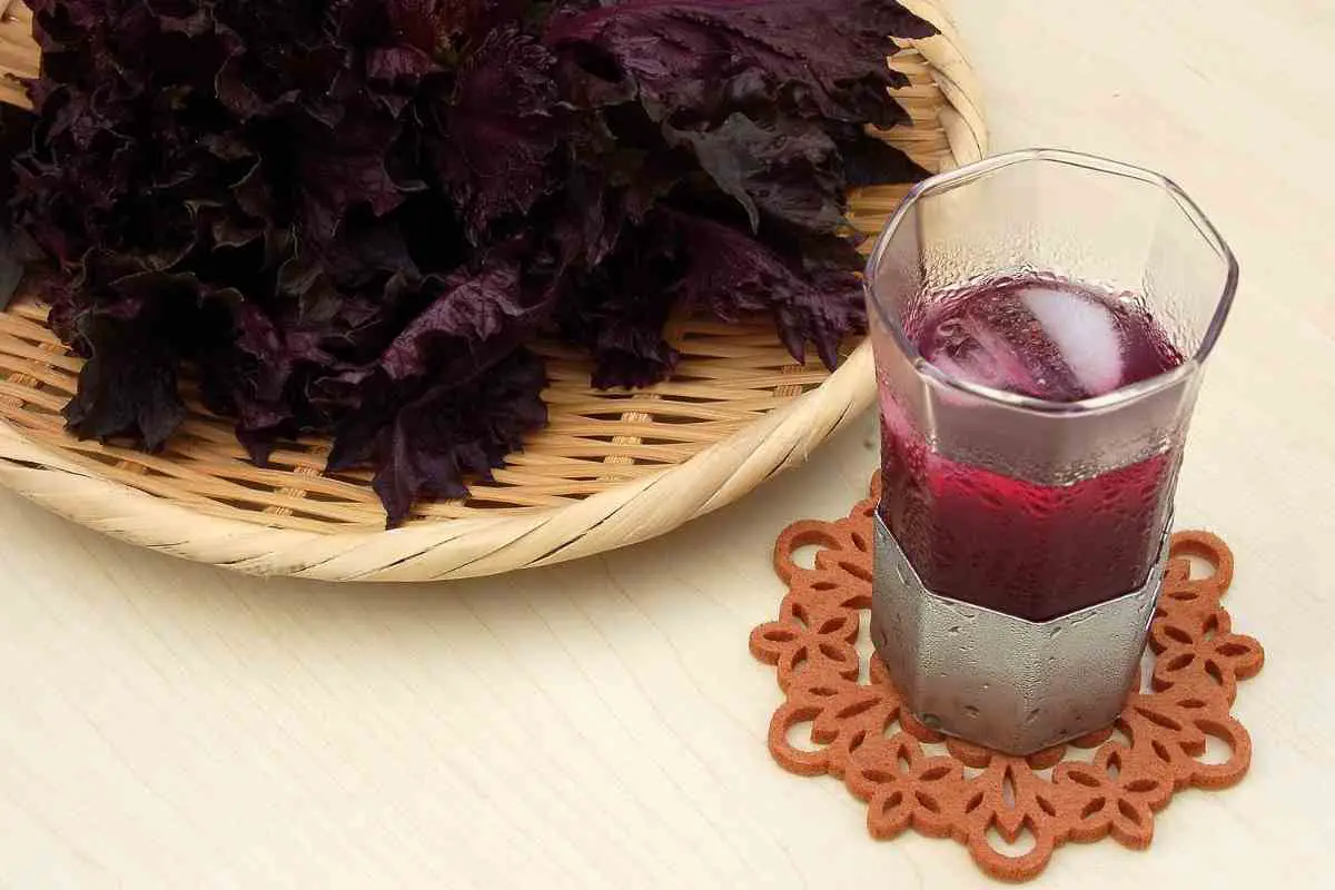 Red Shiso Juice Recipe – How to Make