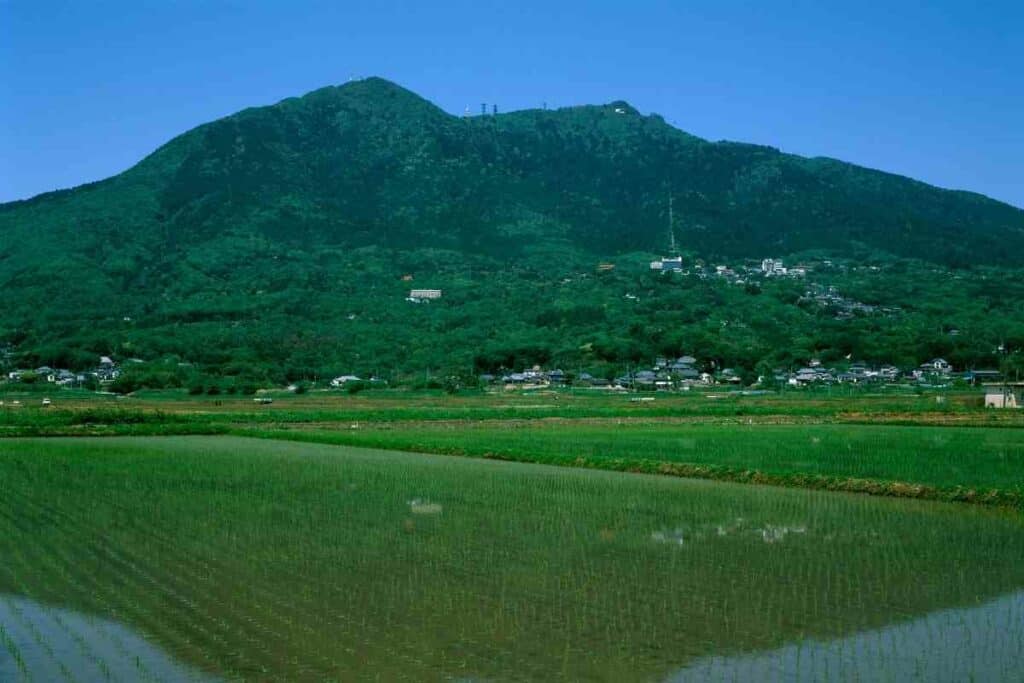 Mount Tsukuba spring time