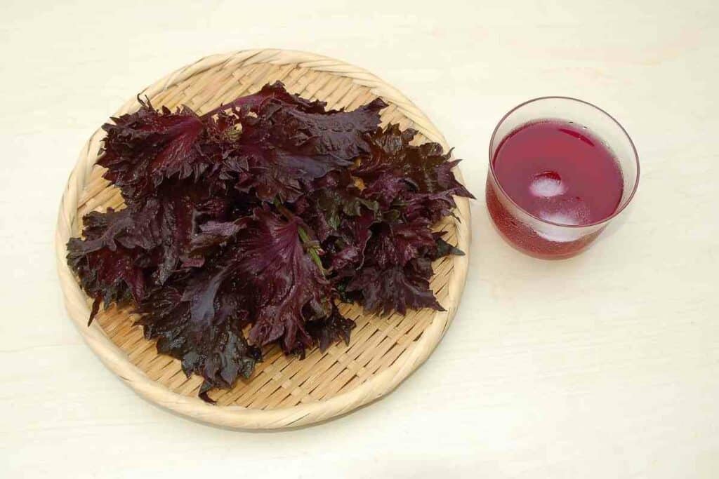 Red shiso juice ingredients list