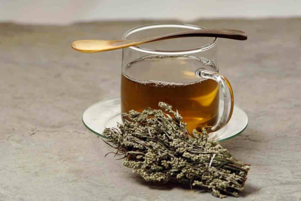 Mugwort tea side effects