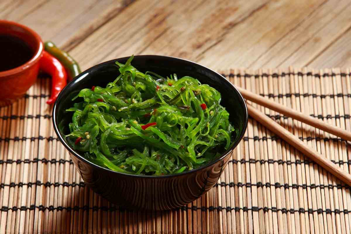 Wakame Vs Kombu Compared – Yougojapan