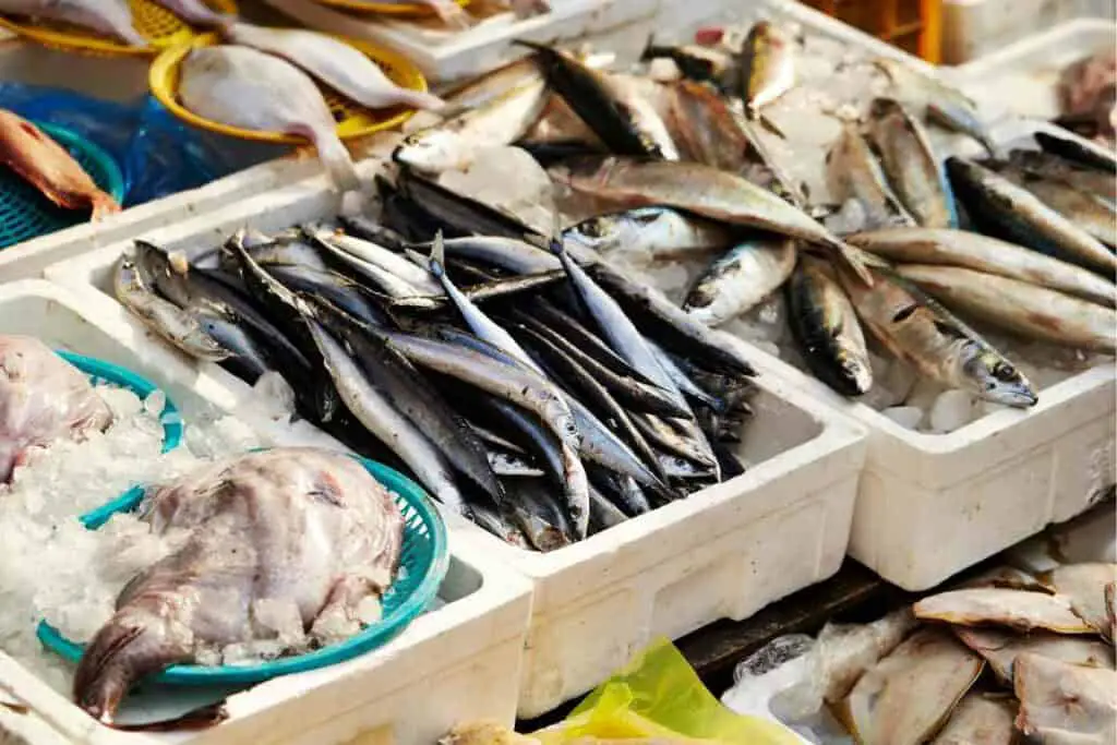 Adachi fish market in Tokyo