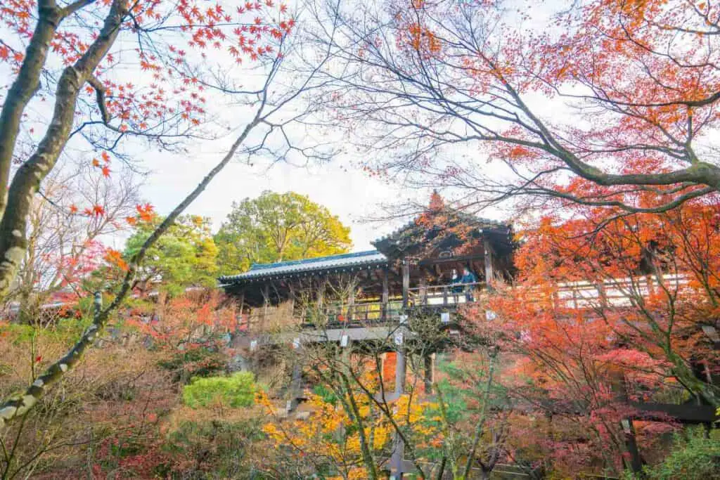 Tofuku-ji Temple in Japan