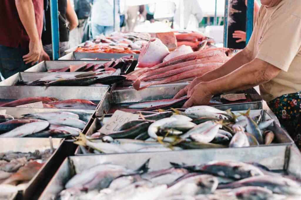 Toyosu fish market in Tokyo