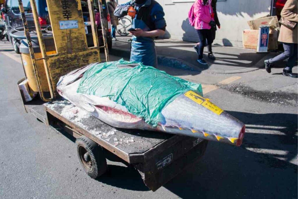 Tsukiji market in Tokyo