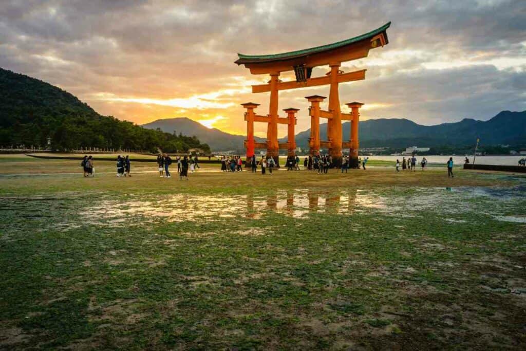 good tour companies in japan