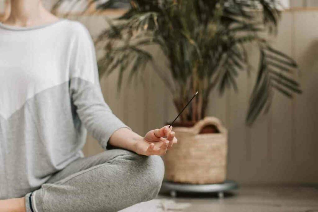 Japanese incense contain aromatic woods