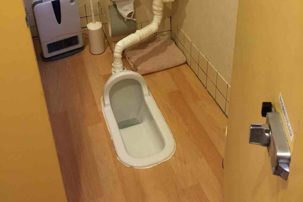 Japanese toilets squat