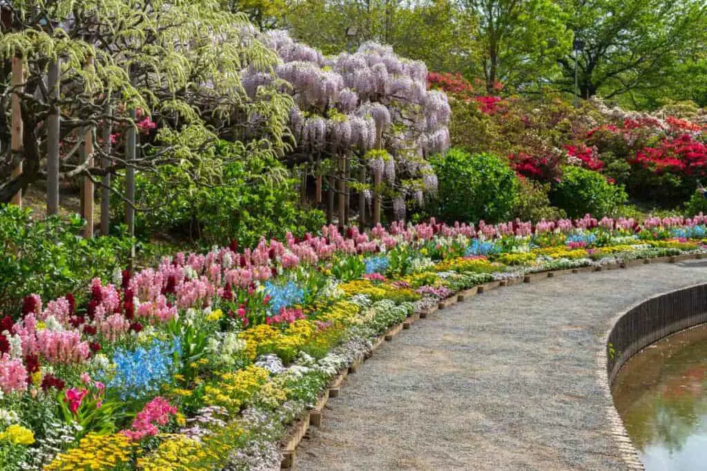 Ashikaga Flower Park, Tochigi Flower park in Japan