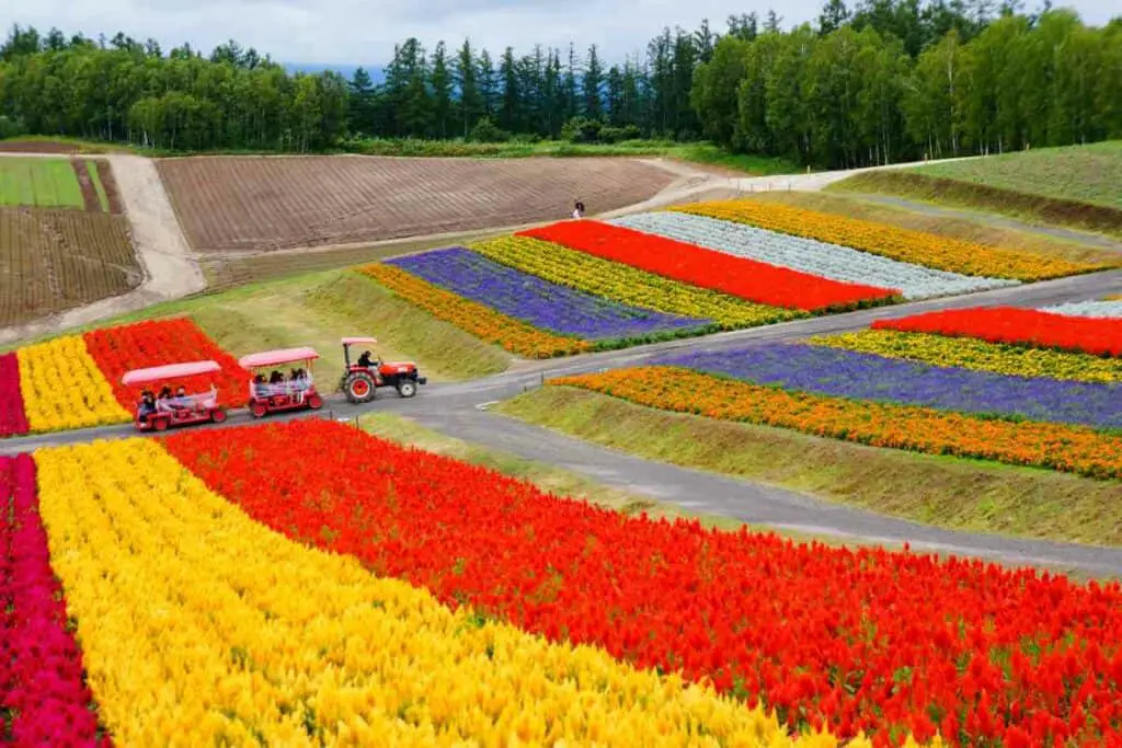 Kamiyubetsu Tulip Park, Yubetsu, Hokkaido Flower park in Japan