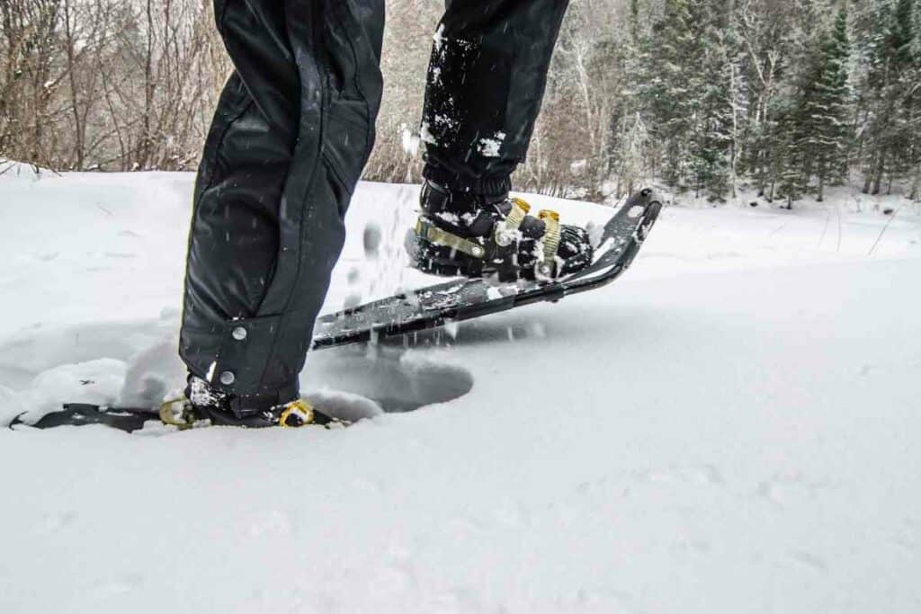 Snowshoeing Japan