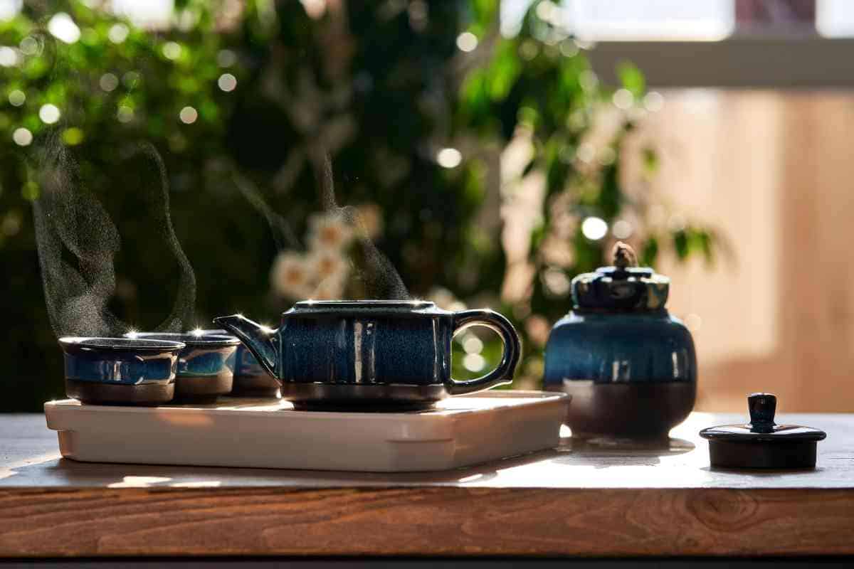 How Does a Japanese Tea Infuser Work (Infusers and Bags)