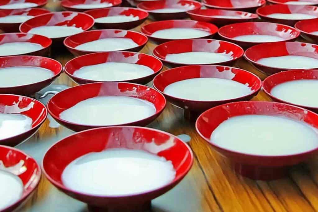 How to Make Japanese Milk Pudding guide