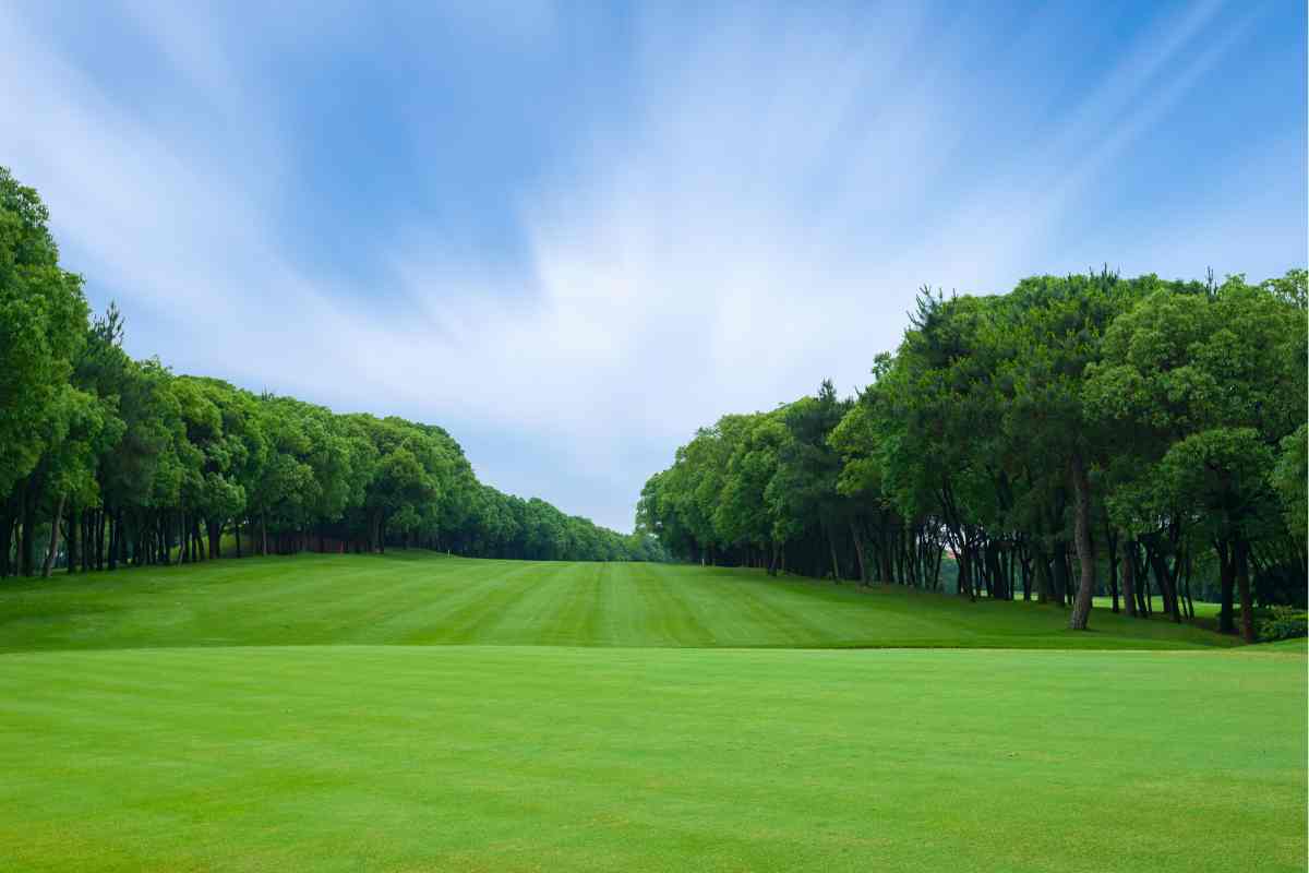 Japan’s Best Golf Courses In 2024 WorldClass Golf in Japan
